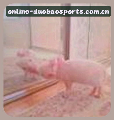 李娜